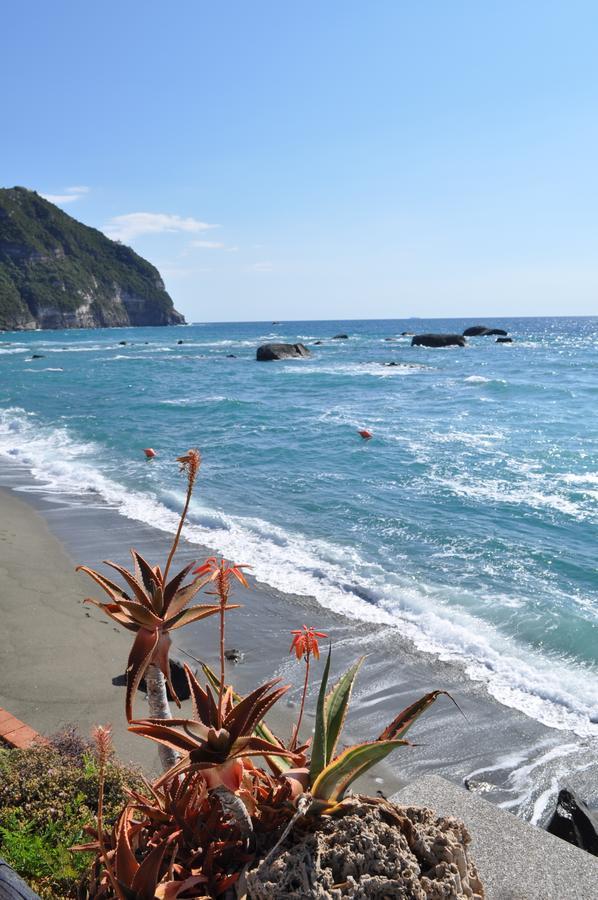 La Citarea Bed & Breakfast Forio  Bagian luar foto