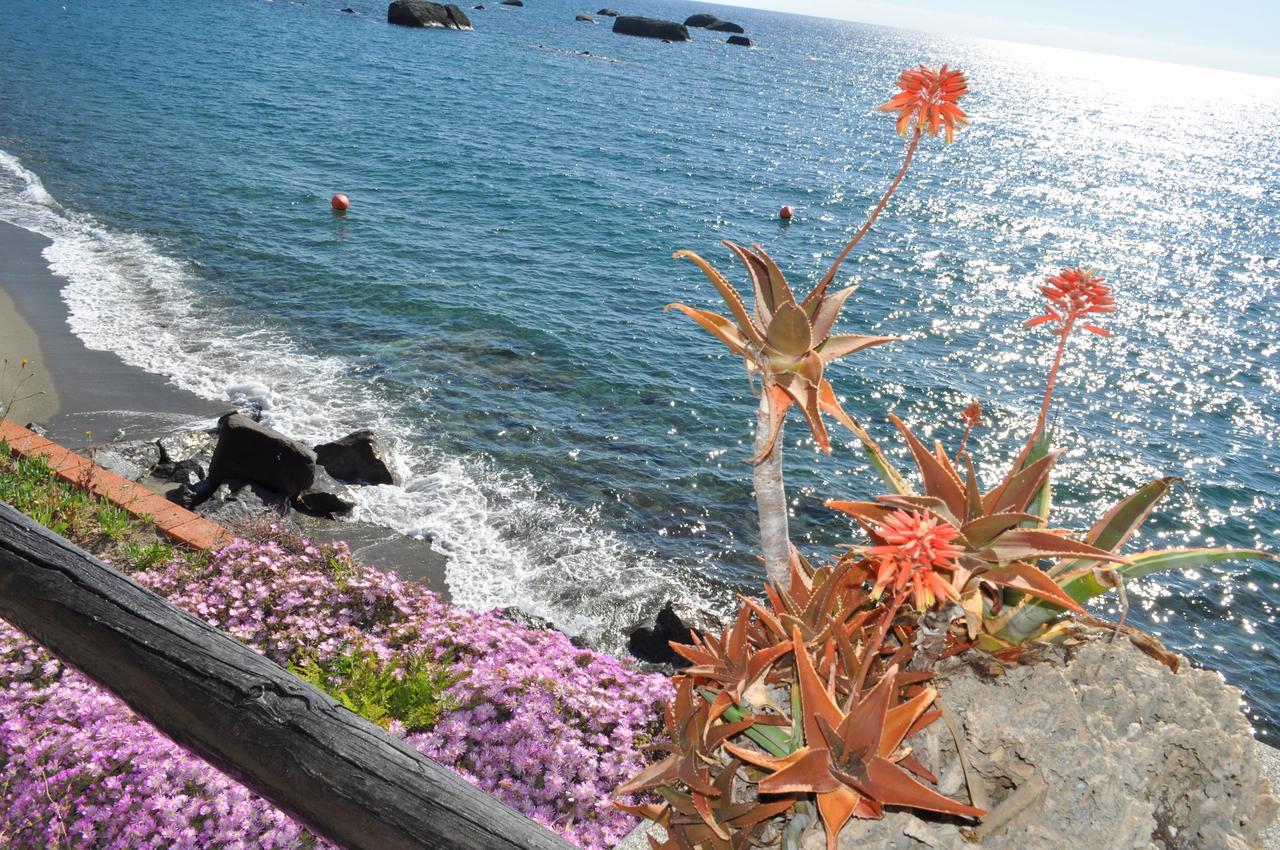 La Citarea Bed & Breakfast Forio  Bagian luar foto